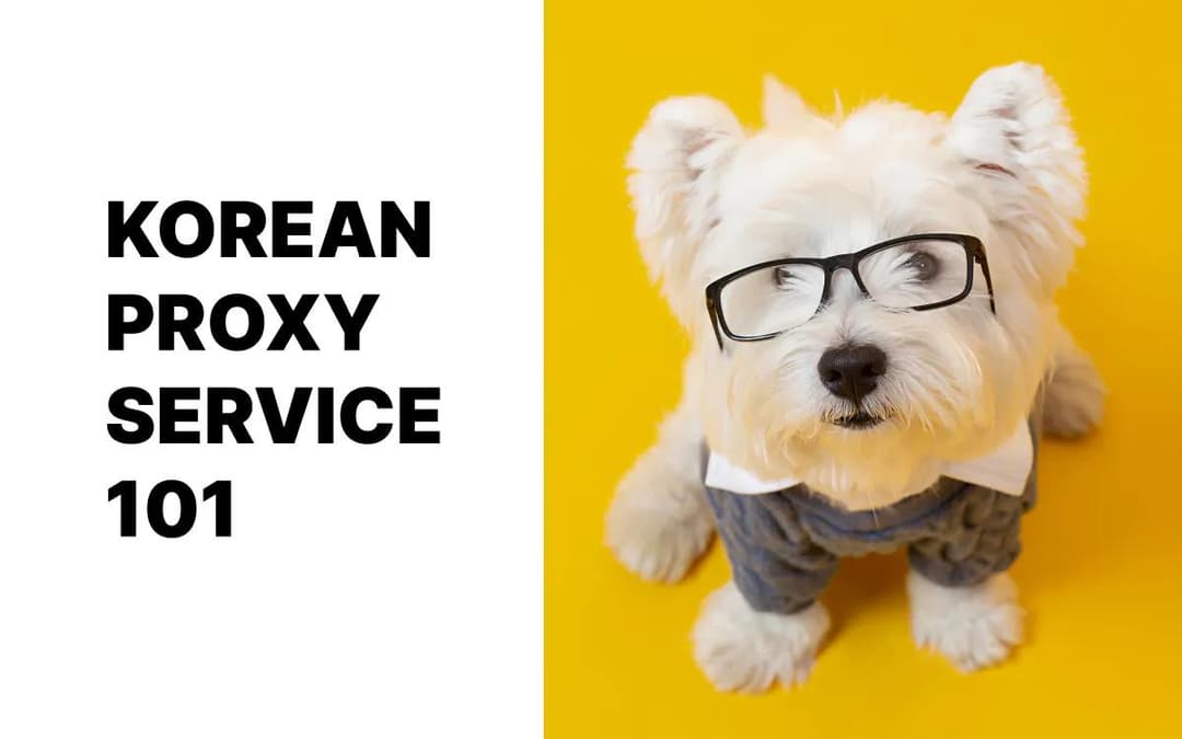 Korean proxy service guide 101