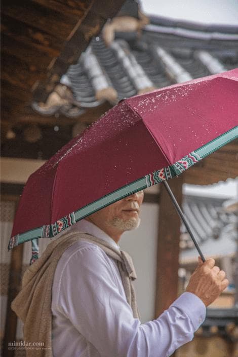 단청(Dancheong) umbrella